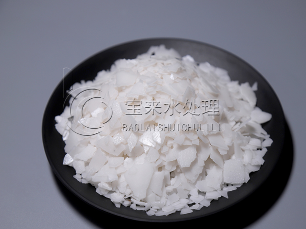  �P��Ƭ�A̎�������w�S�đ���