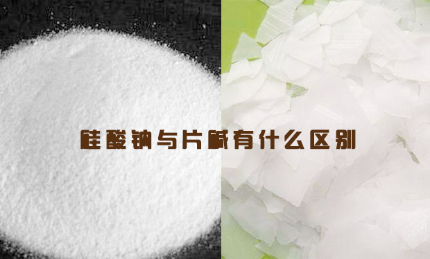 �����c�cƬ�A��ʲô�^�e?